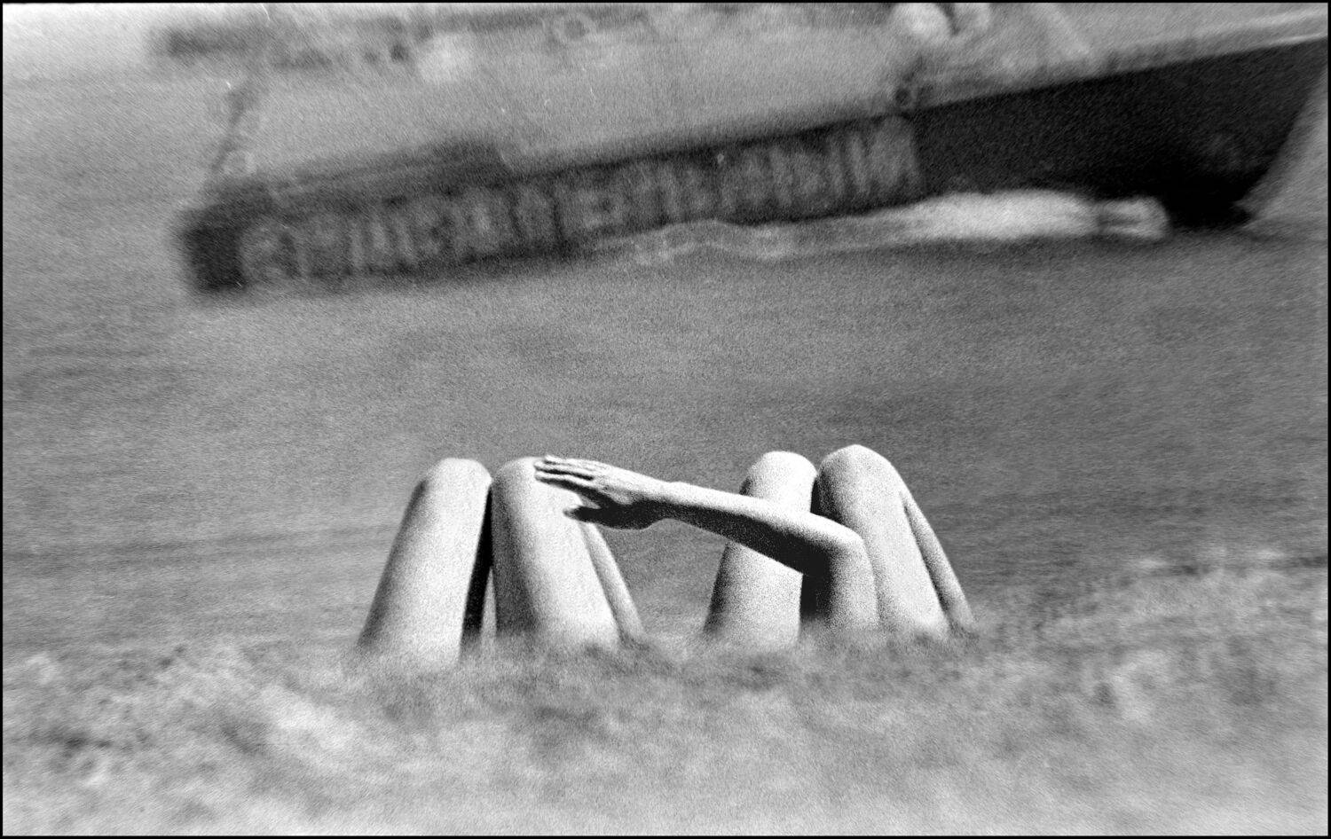 , Меднов Влад