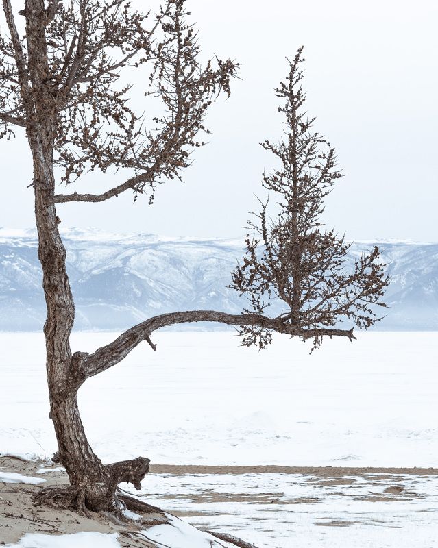 Байкал. Минимализм острова Ольхон…  Baikal. The minimalism of Olkhon island... фото превью