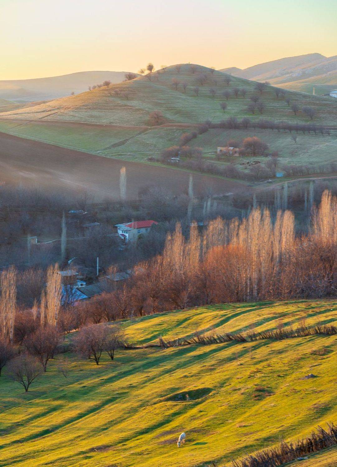 узбекистан, uzbekistan, таваксай, Исаков Дмитрий