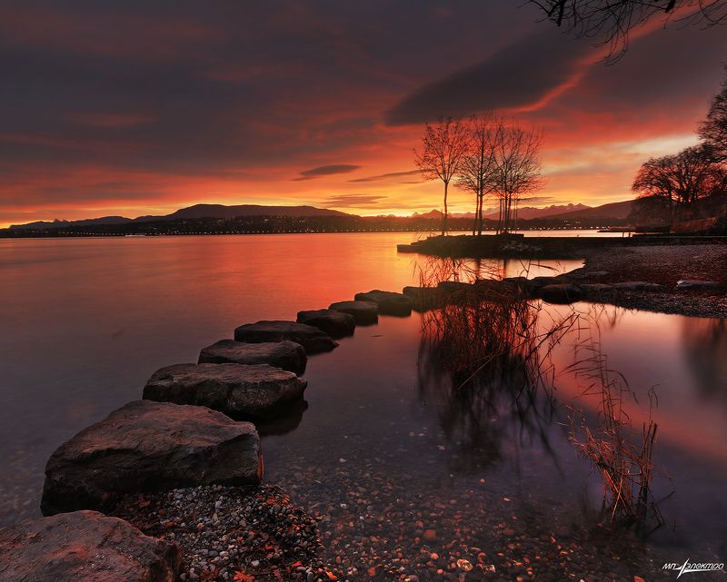 swiss,geneva,зима,швейцария Второе утро января фото превью
