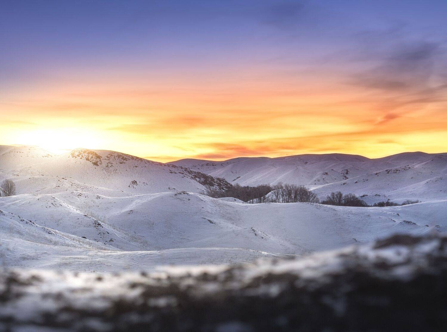 , Антонов Антон