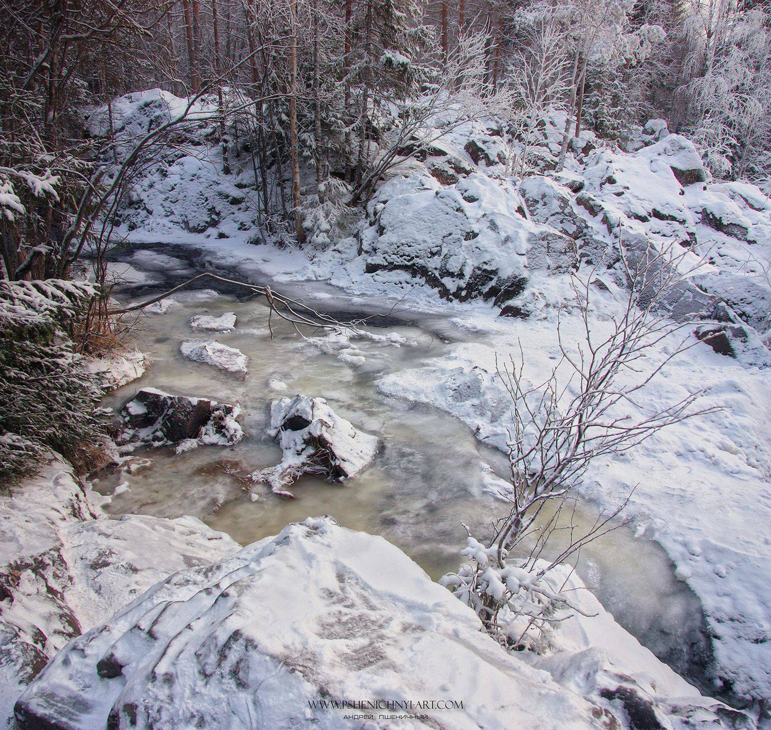 карелия, зима, снег, лес, ручей, пейзаж, Пшеничный Андрей