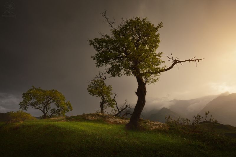 дагестан, террасы, чох В ритме танца фото превью