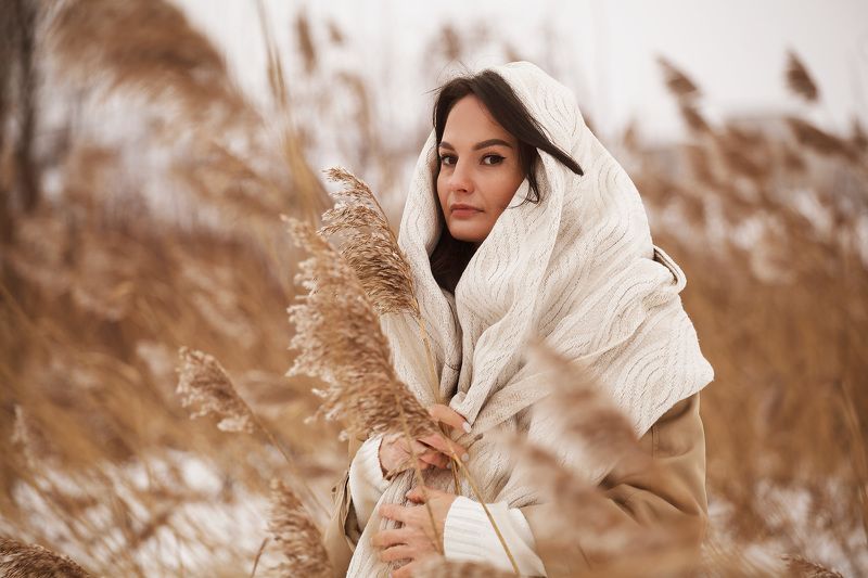 зимний ветер  фото превью