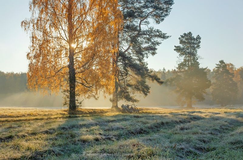 павловск, павловскийпарк, царскоесело, царское, landscape, tsarskoyeselo, autumn Осенняя идиллия фото превью
