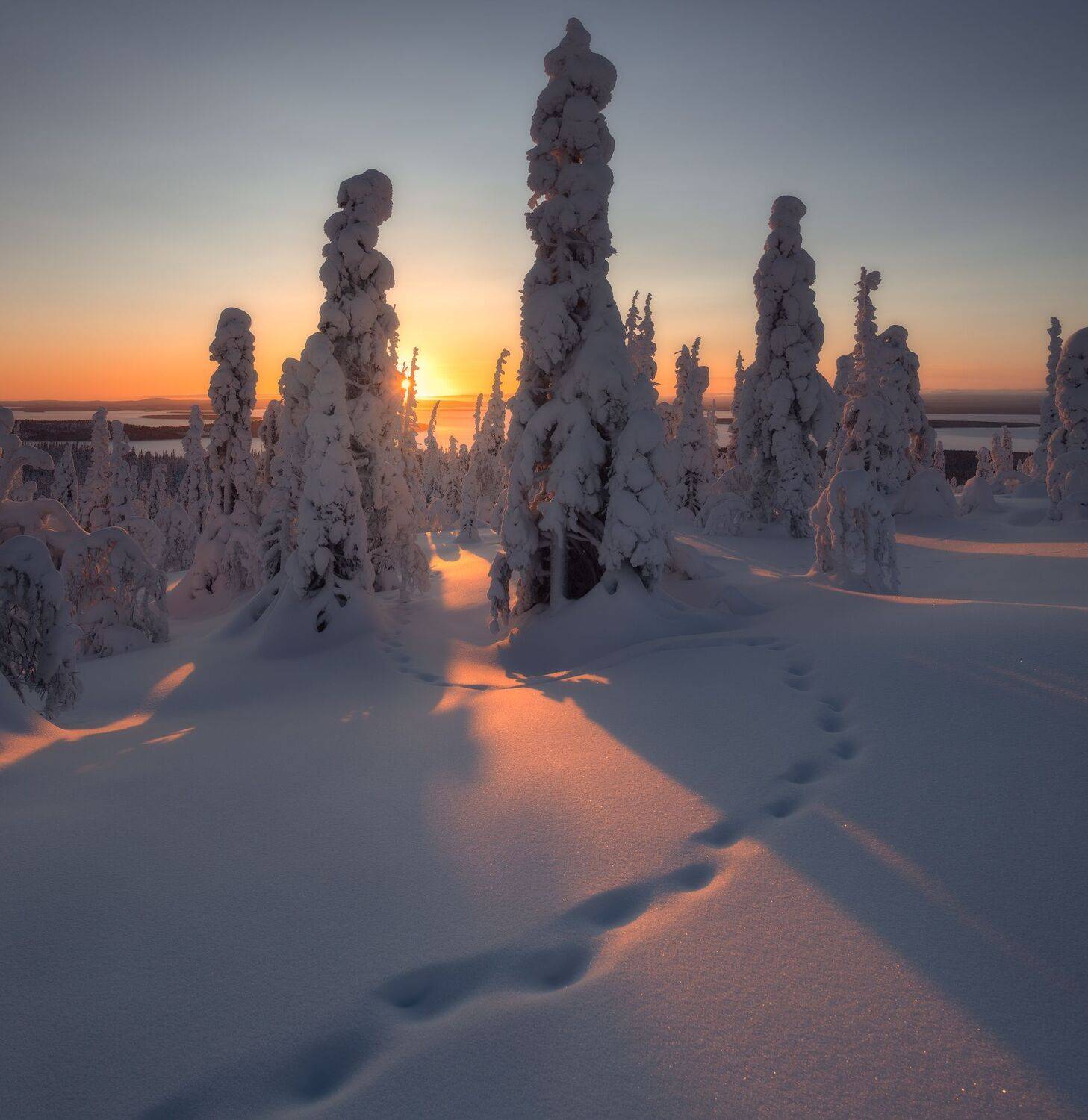 , Виталий Истомин