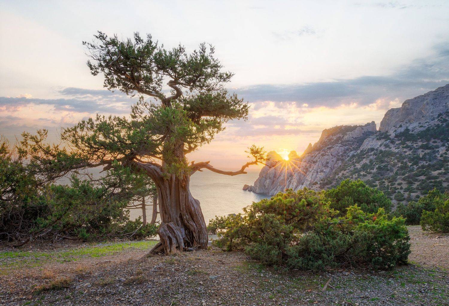 , Костенко Александр