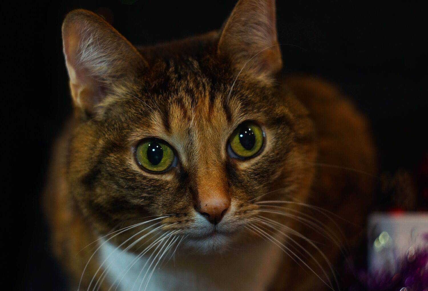 , Екимова Наталья