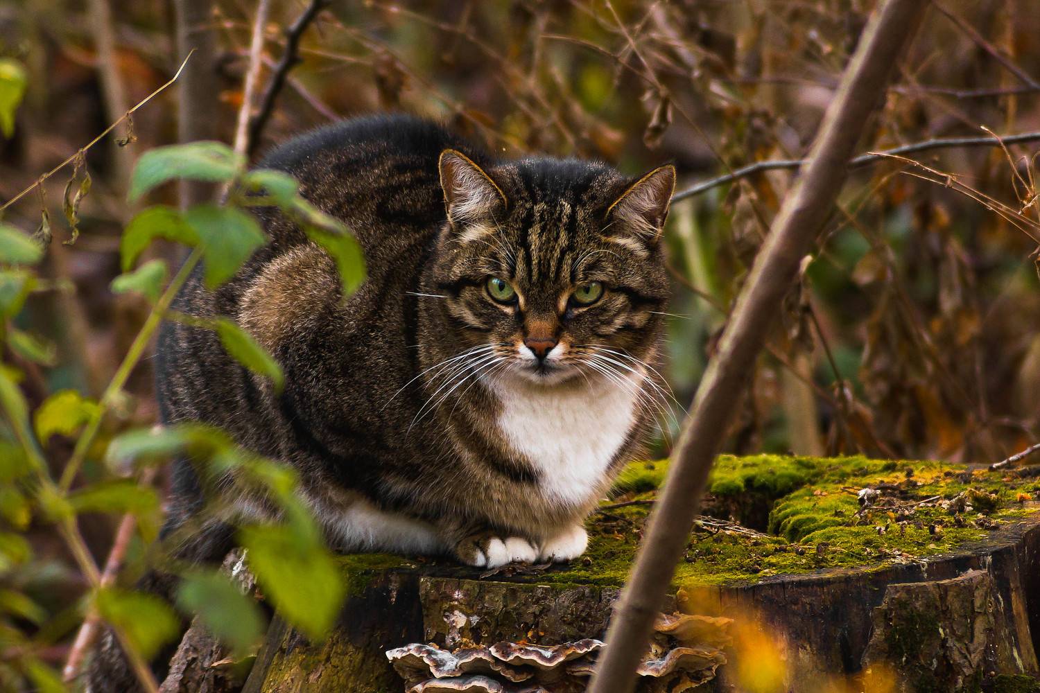 , Екимова Наталья