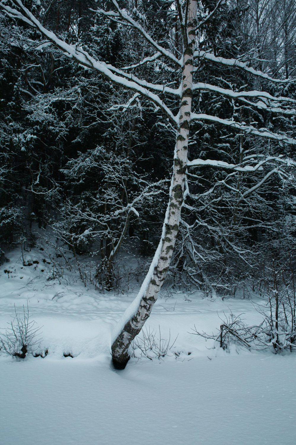 , Ольга Юсупова