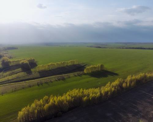 Скорей бы весна...