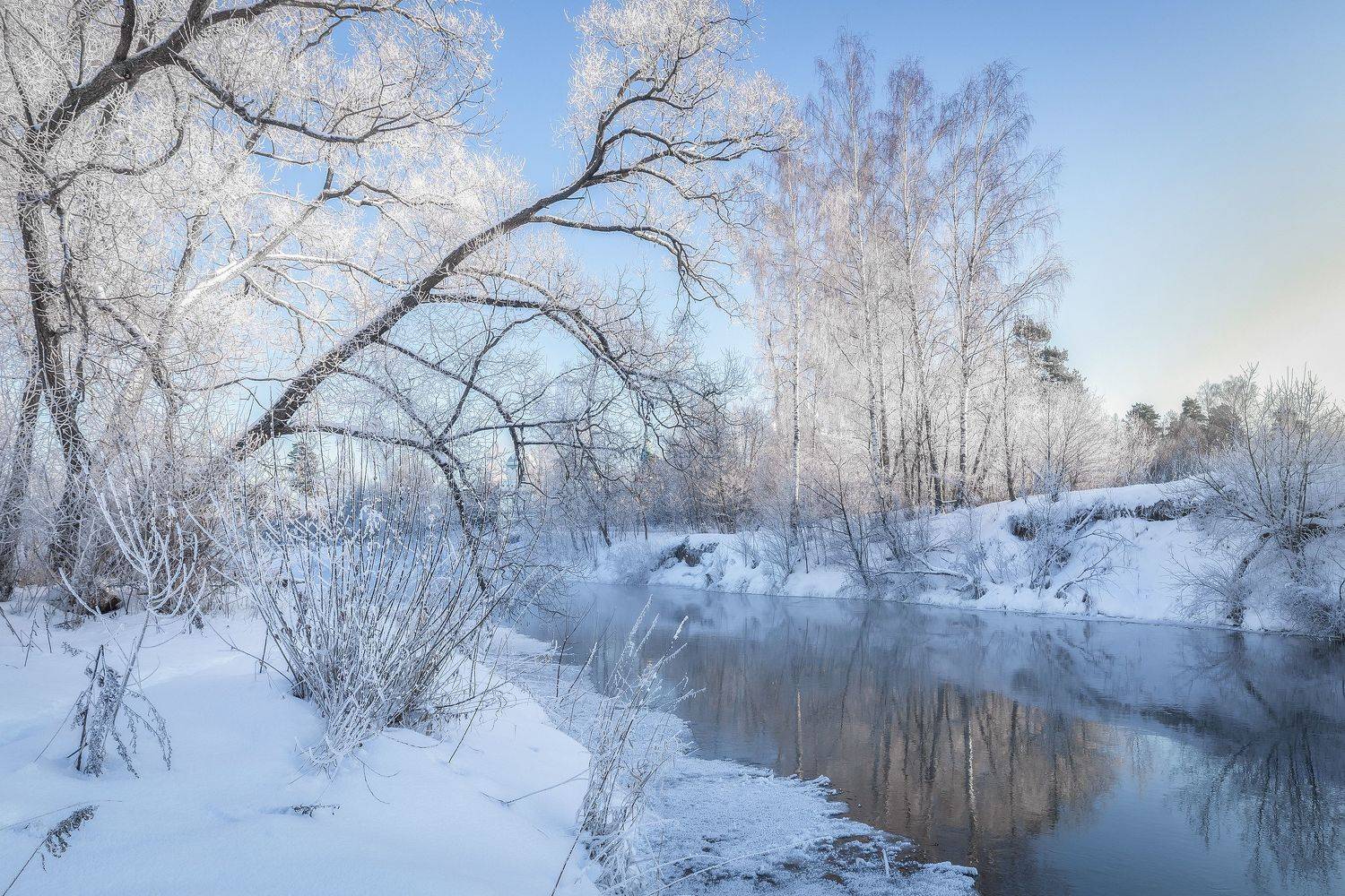 Истра, Елена Гусева