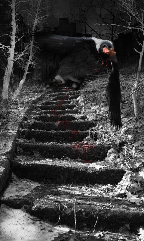 рана, сердце, кровь, птица, полет, лестница, темнота, дерево Краденое сердце фото превью