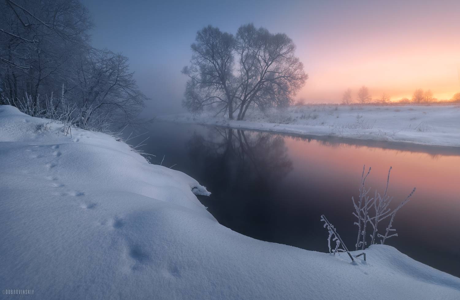 истра, река, туман, иней, рассвет, дерево, Дубровинский Михаил