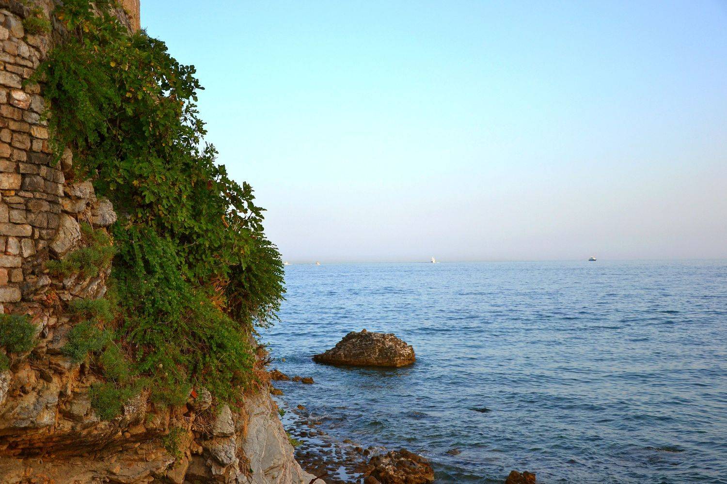 , Шустиков Дмитрий