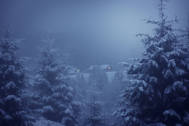 В глуши Карпат фото превью