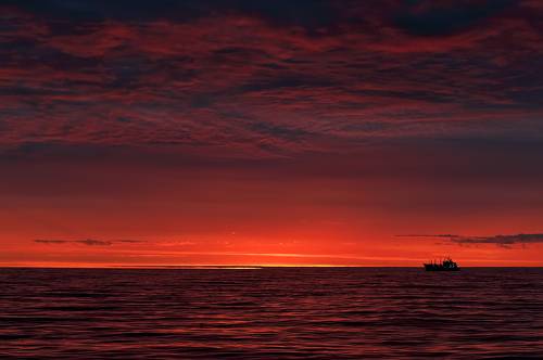 Red...