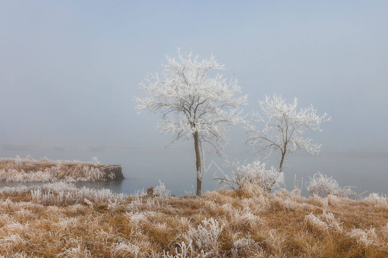 , Костенко Александр