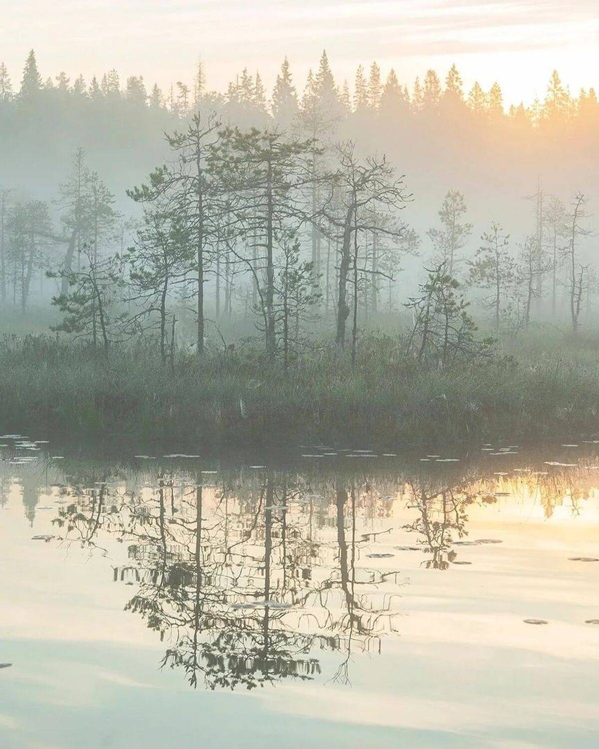 , Петр Косых