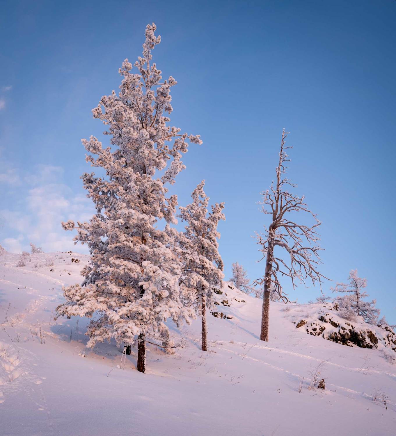Сугомак, Denis Zakalyapin