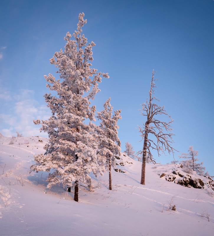 Сугомак рассвет фото превью