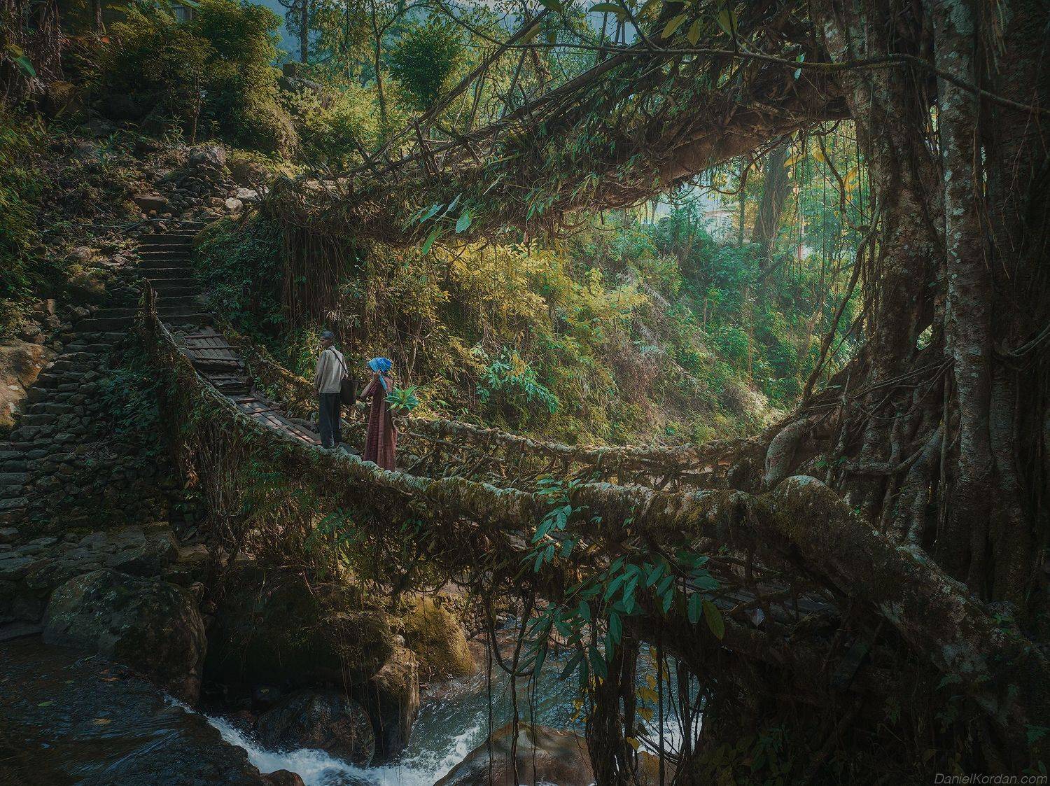 , Даниил Коржонов