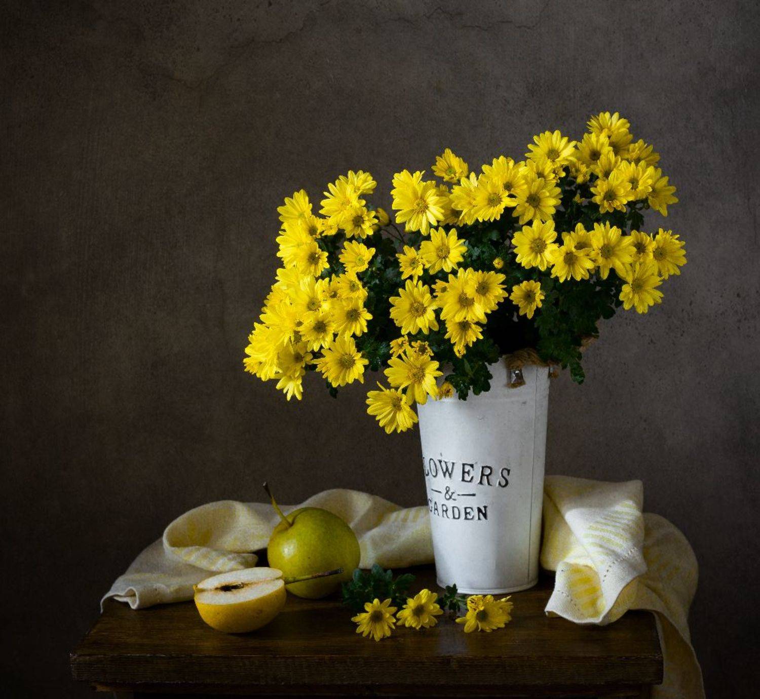 натюрморт, цветы, хризантемы, Оля