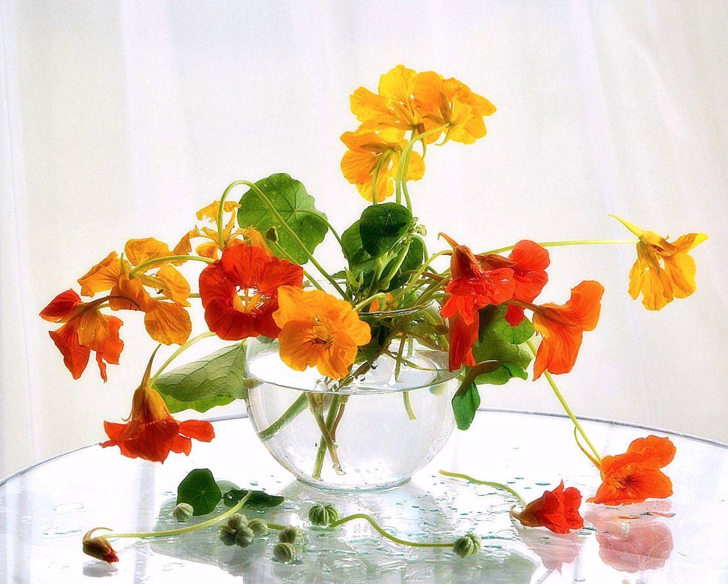 сергей алексеев, натюрморт, Сергей Алексеев