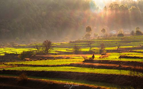 spring season on the way