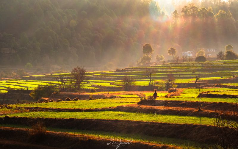 #spring #field #lady #village #hardwork #landscape #beauty #green spring season on the way фото превью
