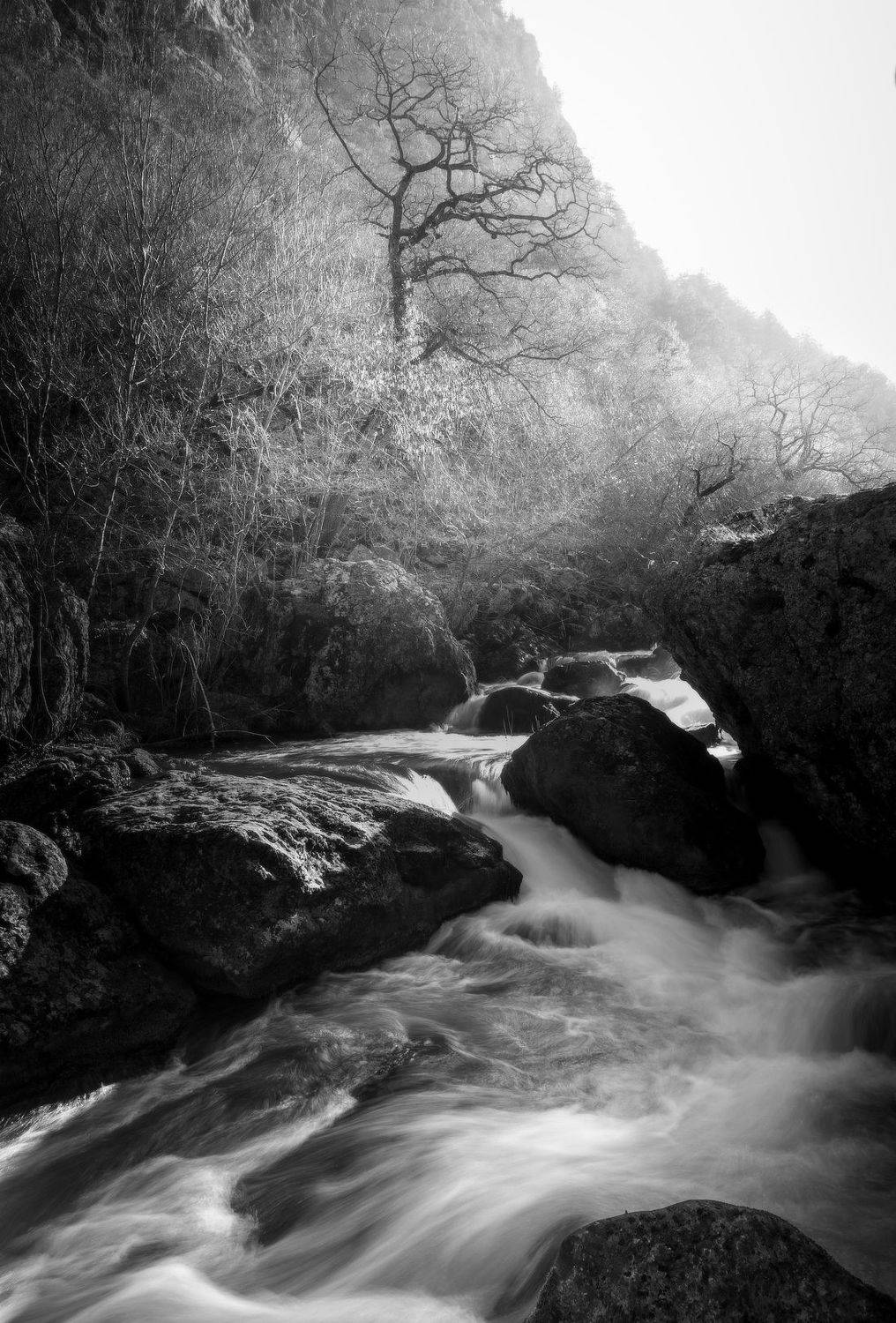 , Михаил Гапонов