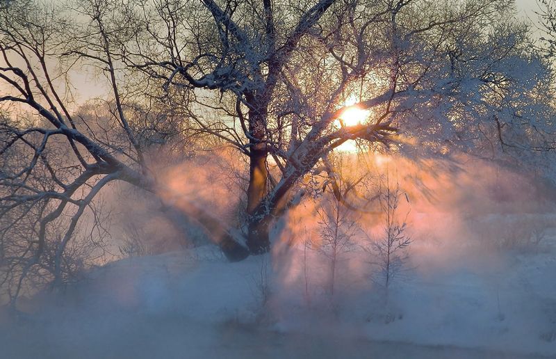 Однажды на закате фото превью
