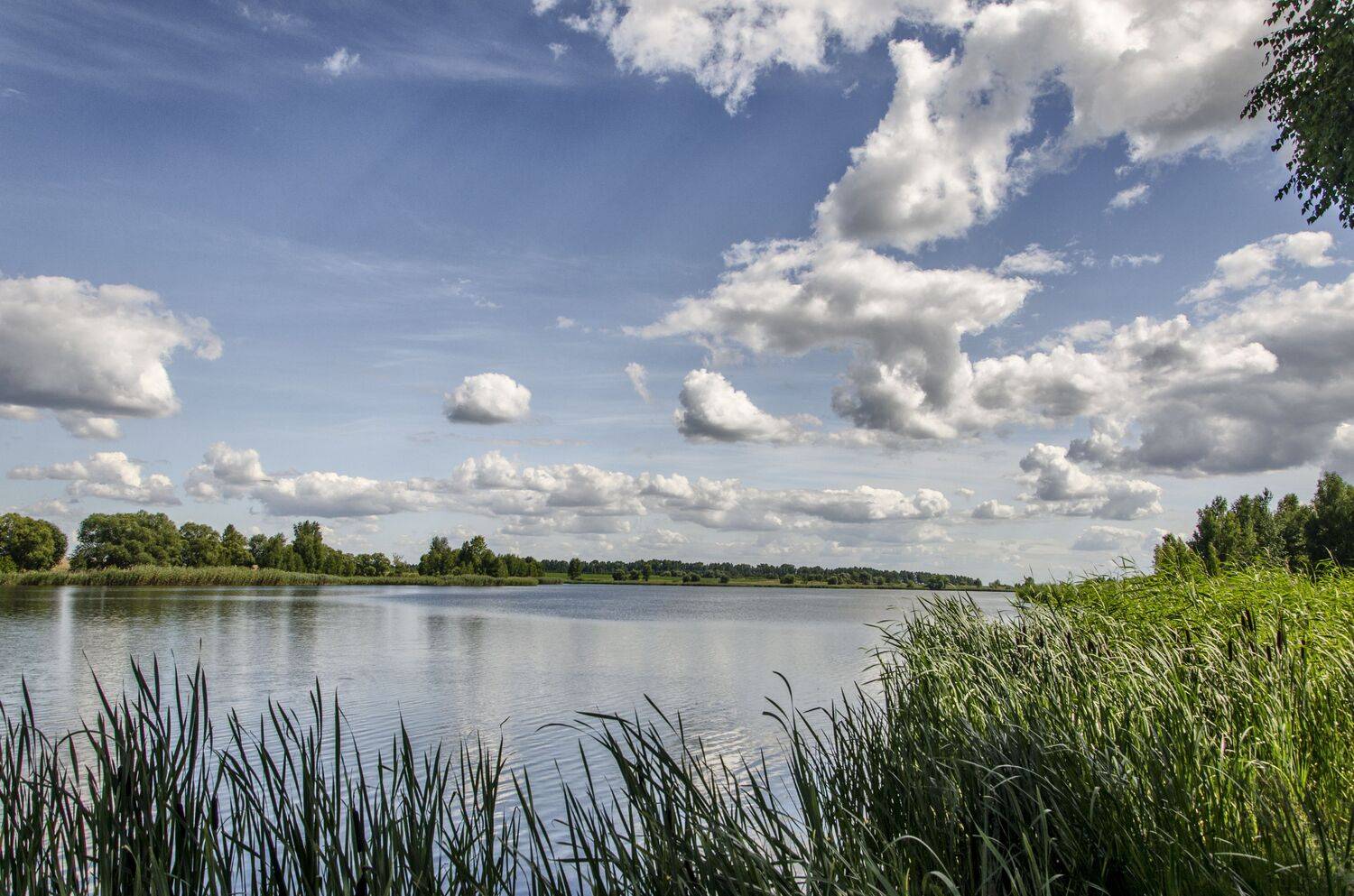 nevant60, пейзаж, красота, природа, Александр Березуцкий