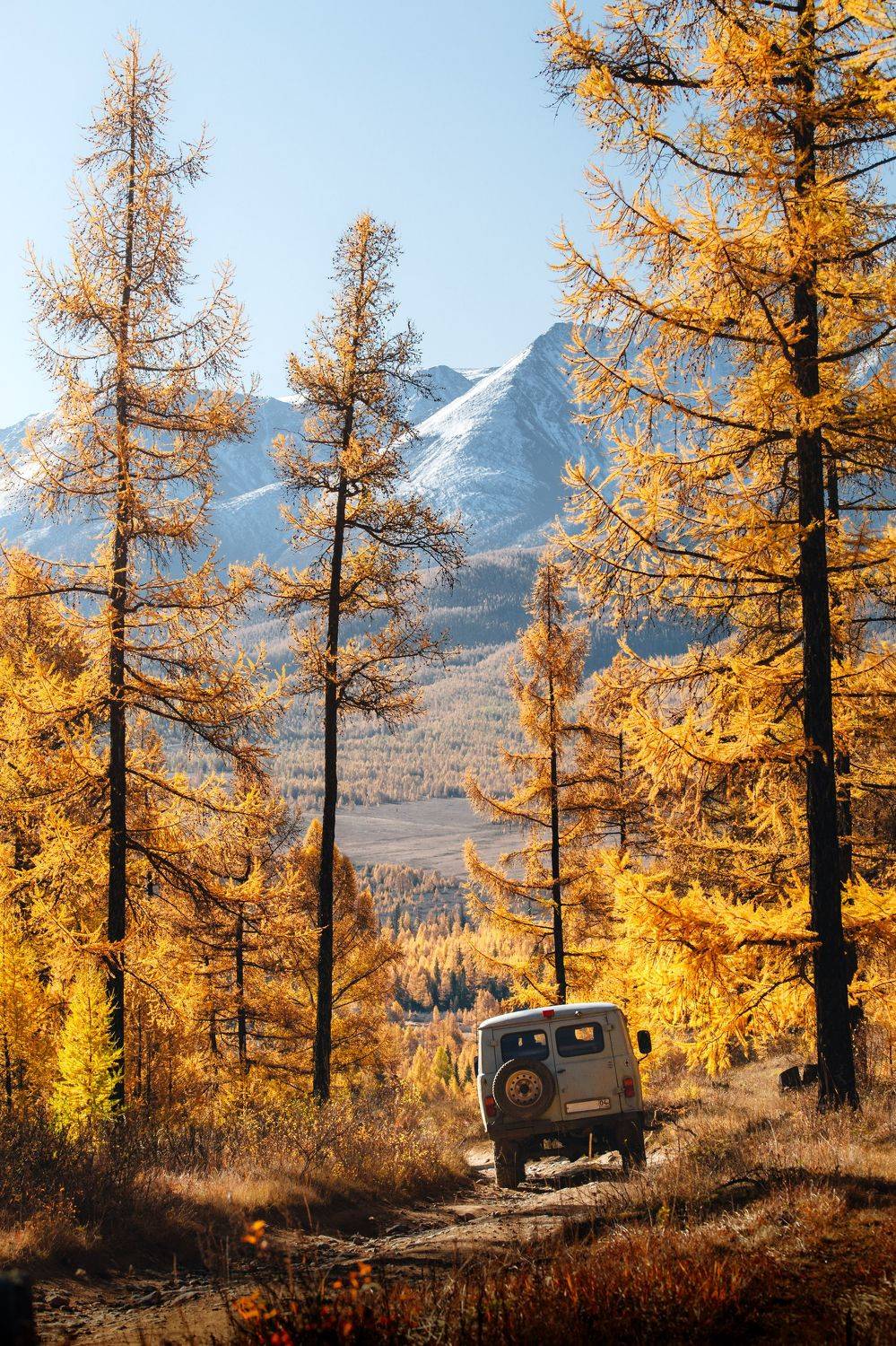 алтай, altai, пейзаж, осень, Raspopov Andrey
