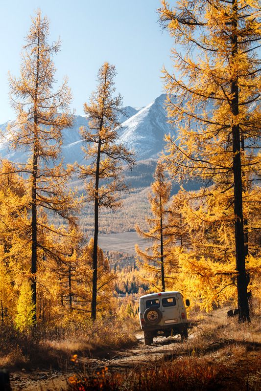 алтай, altai, пейзаж, осень по пути к долине Актру фото превью