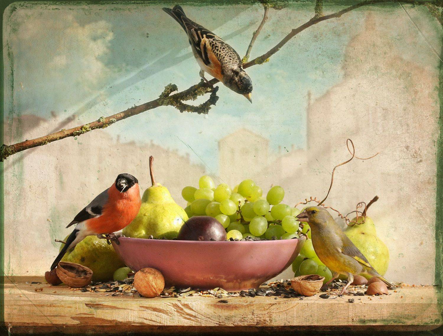 юрок, Хромушин Олег