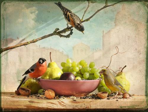 Натюрморт с весенним юрком