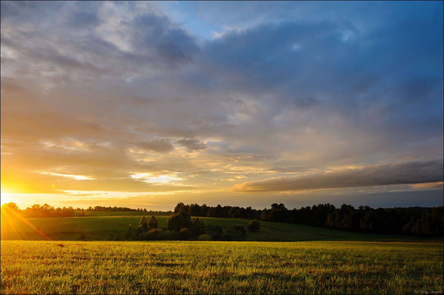 лето, закат, поле, Андрей Шумилин