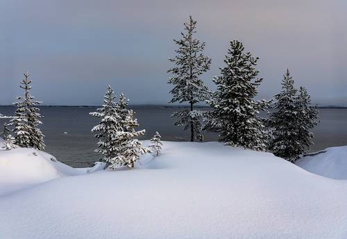 Зима на Кольском