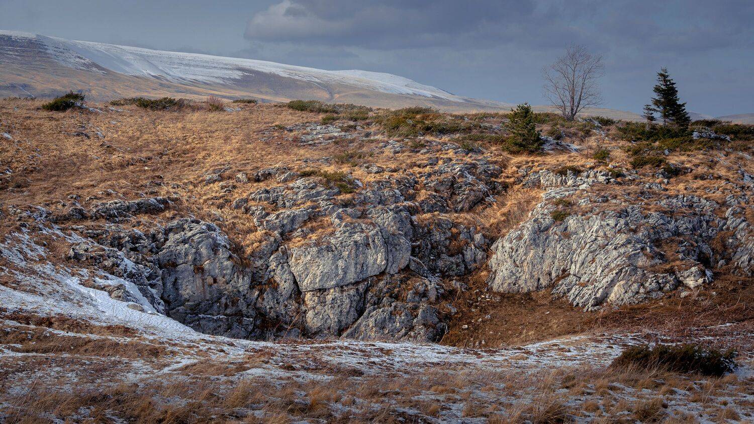 , Вадим Коваленко