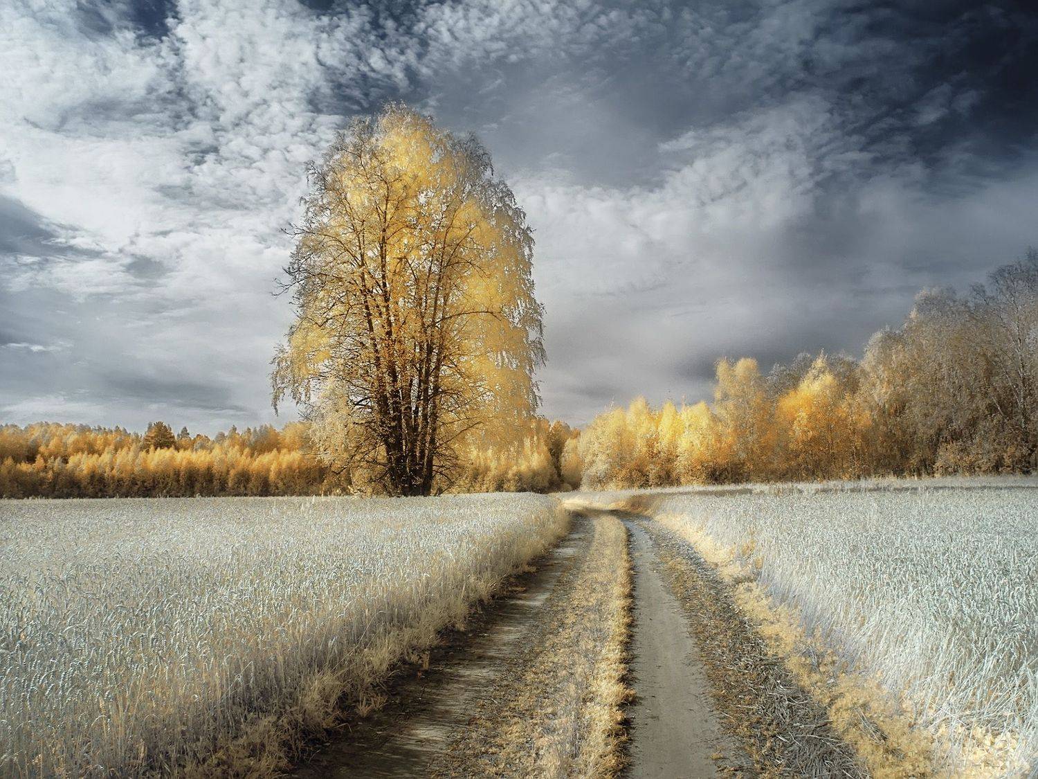 ,  Гобова Наталья