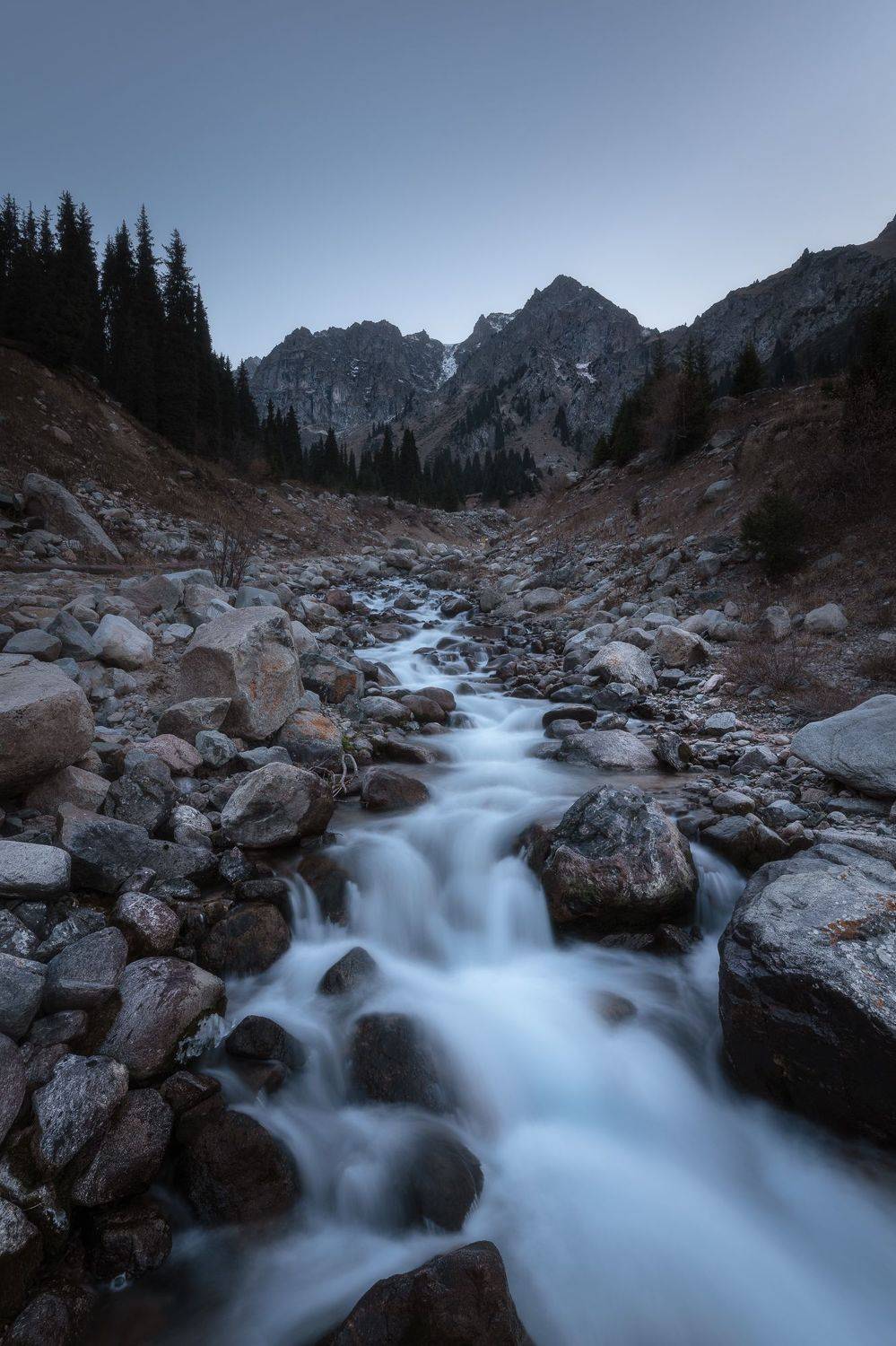 , Овчинникова Наталья