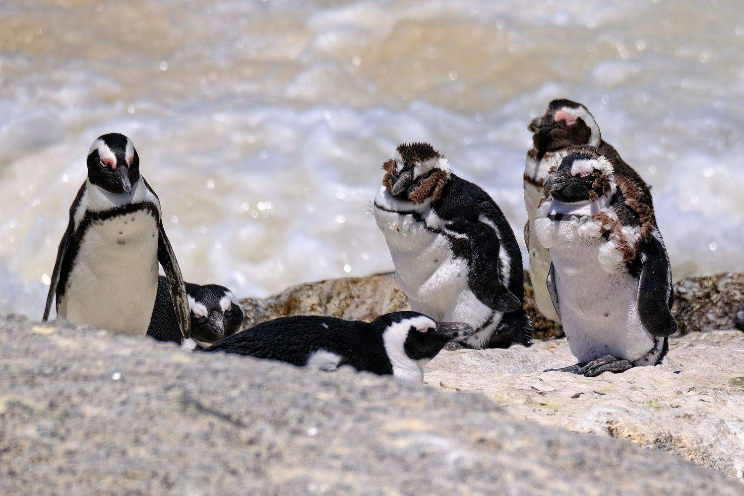 , Худзинская Ирина