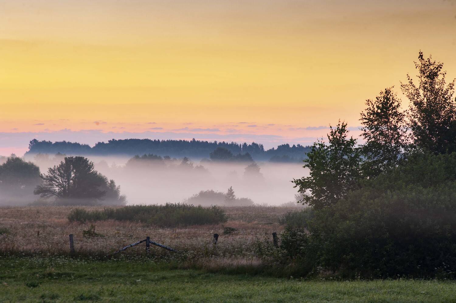 рассвет,туман,россия,лето , Павел Ныриков