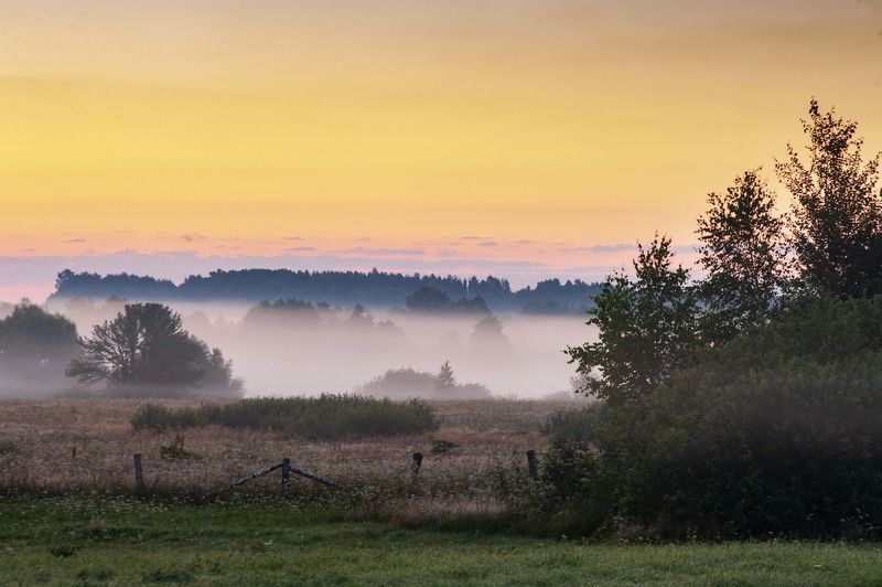 рассвет,туман,россия,лето  Туманные просторы  фото превью
