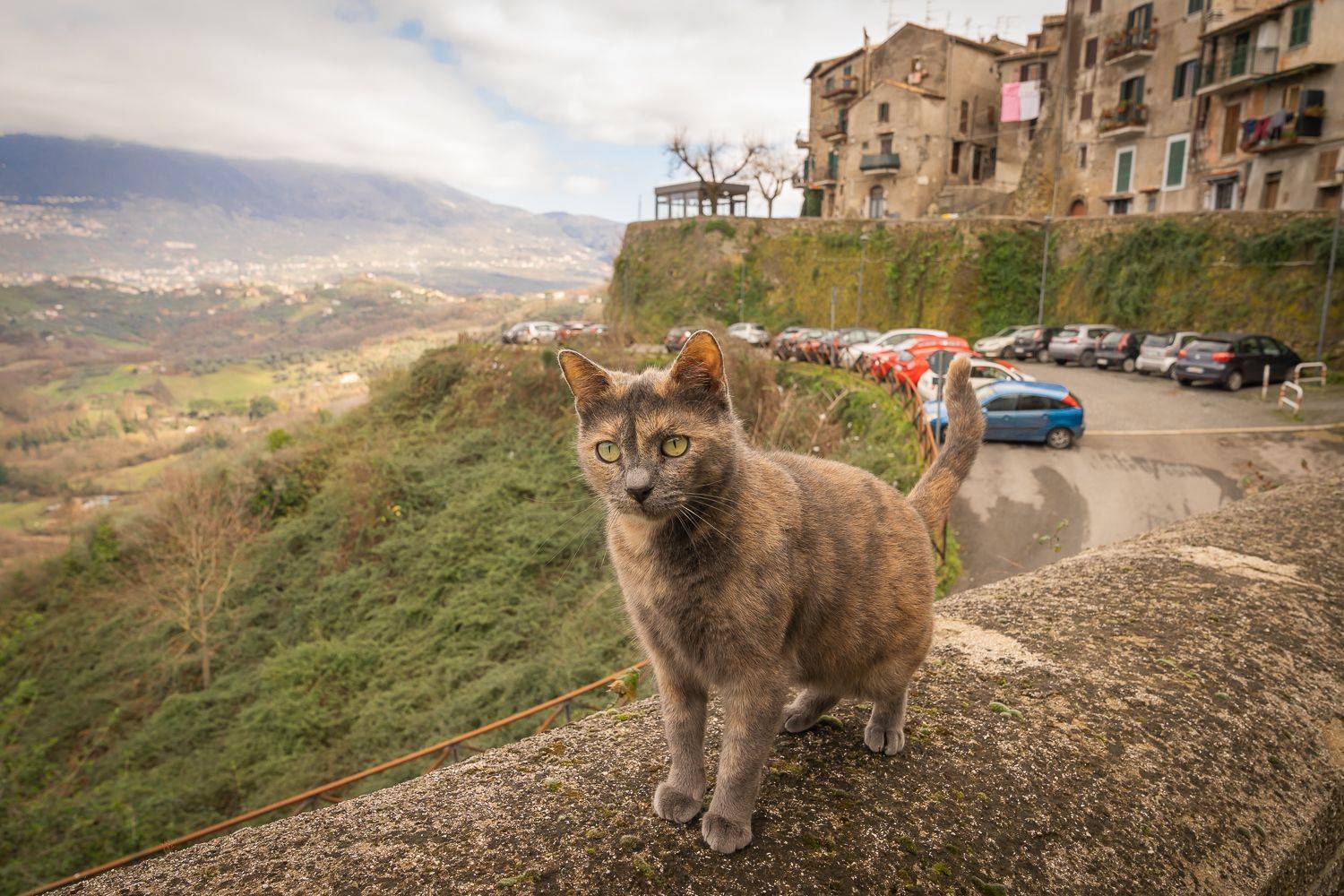 , Максимова Дария