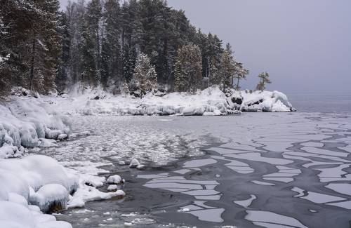 Берег Телецкого озера