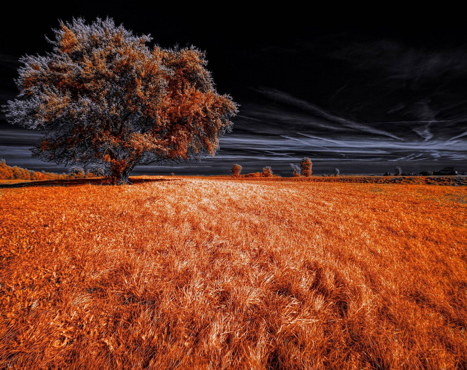 infrared,ик-фото,инфракрасное фото, инфракрасная фотография, пейзаж, осень,  Sixten (Сергей)