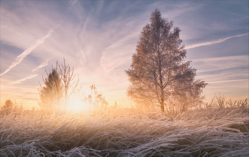 Закат в цветах фламинго. фото превью
