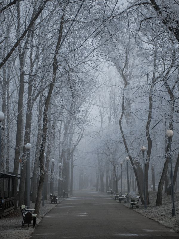 Туман на длинном фокусе фото превью